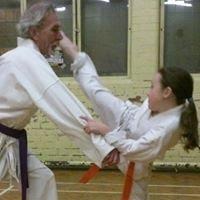 A young orange belt kicking a older black at head height. 